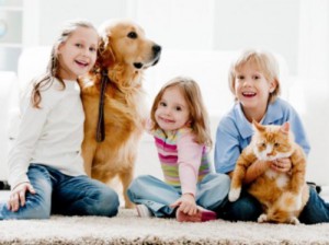 Descubre qué males pueden transmitir tus mascotas.
