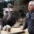 La historia del japonés que volvió a la zona radiactiva para cuidar a los animales