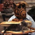 Video intriga anuncia retorno de Alf a la TV luego de 24 años.