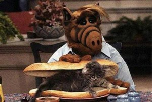 Video intriga anuncia retorno de Alf a la TV luego de 24 años.