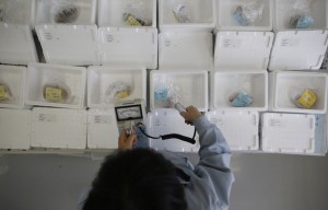 Cinco superenfermedades que amenazan a la humanidad.