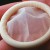 Japón: proponen distribuir condones con hueco para mejorar crecimiento en población