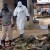 La OMS eleva a 1.500 los muertos por la epidemia de ébola
