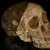 Descubren que el primer australopiteco no era humano.