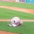 VIDEO: Mascota se ‘come’ a jugador de béisbol en juego