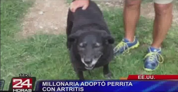 Mujer millonaria adoptó a perra que fue rechazada por tener artritis.