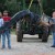 Cazan cocodrilo gigante en Alabama; pesaba casi media tonelada