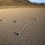 Resuelven el misterio de las 'piedras vivientes' en el Valle de la Muerte