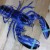 Pescadores capturan a una rara langosta de color azul en EU