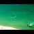 Bañistas huyen aterrados al observar un tiburón a unos metros