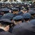 Policías de NY vuelven a dar la espalda al alcalde en funeral de agente