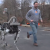 Este video de Boston Dynamics, de Google, parece centrarse en algo que podría calificarse como abuso “animal” contra Spot, un robot cuadrúpedo.