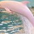 El delfín que se vuelve rosa cuando está triste o enfadado