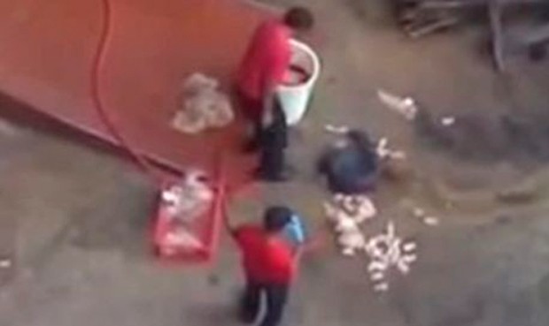 VÍDEO: indignación en Sudáfrica por empleados de KFC que lavan pollos en suelo