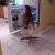 VÍDEO: perro roba comida de un refrigerador de una forma peculiar