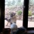 Pese al rugido y la imponente presencia del puma, el gato se muestra indiferente, según el video que se ha vuelto viral.