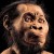 Aunque es muy robusto, y tiene un cráneo y un tronco primitivos, sus extremidades son “prácticamente iguales a las de los humanos modernos”.