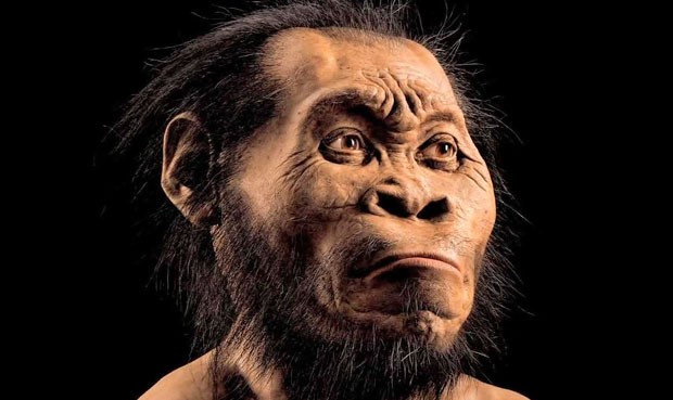 Homo naledi: Descubren un nuevo pariente del humano en Sudáfrica