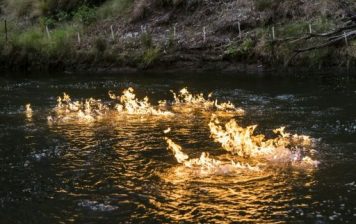 Un río arde en llamas al contacto con el fuego en Australia