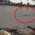 VÍDEO: ¿Ha aparecido el monstruo del lago Ness en Londres?