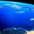Advierten sobre pérdida de oxígeno en el océano por el cambio climático