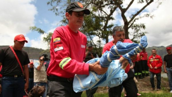 Miembros de la Unidad Canina del Cuerpo de Bomberos de Ibarra dieron el último adiós al dócil labrador de 4 años